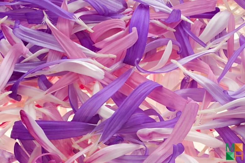 Tranh dán tường phòng ngủ đẹp tại Hà Nội FW - 032